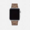 city_apple1